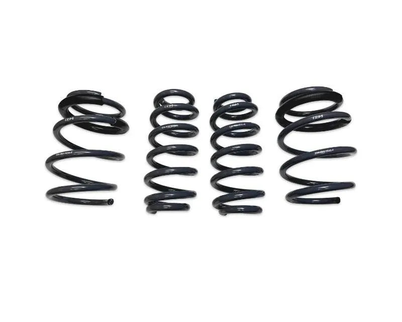 034 Motorsports Dynamic+ Lowering Springs Audi RS3