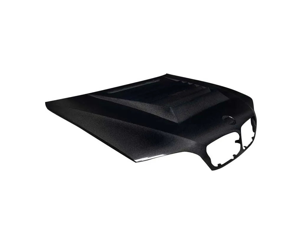 BMW E46 3 Series 4-Door Carbon Creations D-1 Performance Hood Lightweight UV Protection