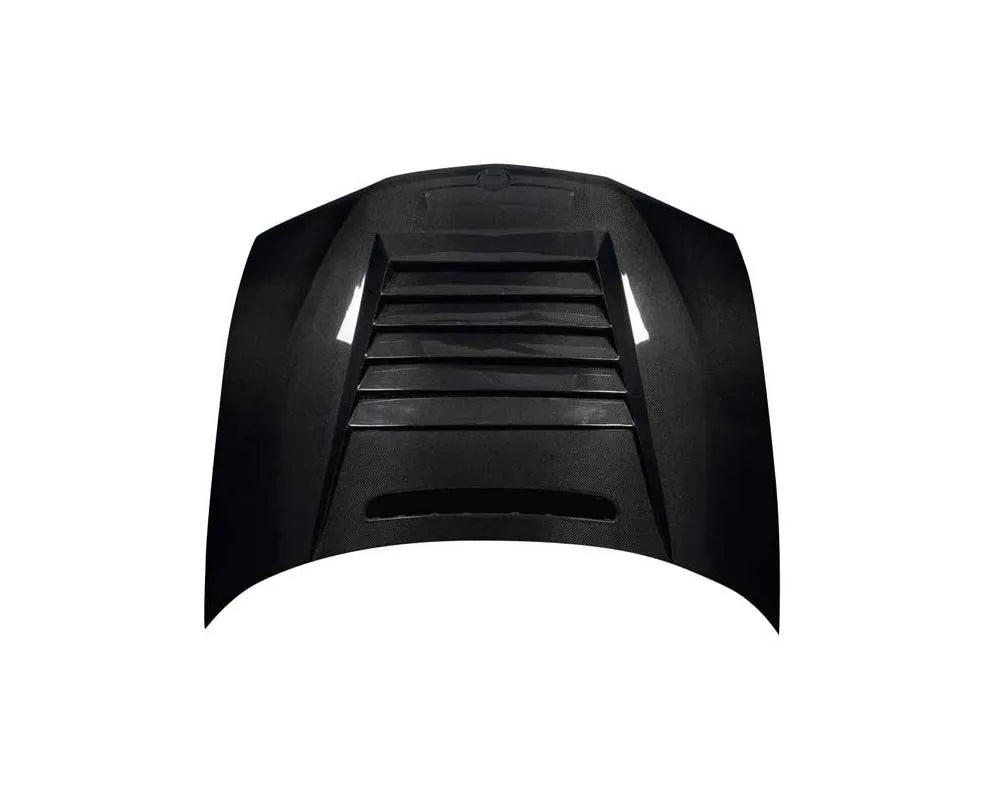 BMW E46 3 Series 4-Door Carbon Creations D-1 Performance Hood Lightweight UV Protection