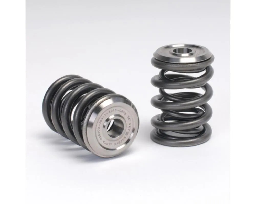 https://cdn.vividracing.com/file/vr/690/2025/344-05-1300.jpg