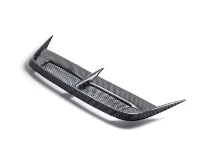 Seibon CW-Style Carbon Fiber Hood Vent Honda Civic Type-R Base 2023-2025 - HDS23HDCVR-CW