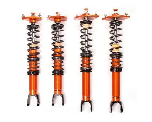 https://cdn.vividracing.com/file/vr/431/2022/Moton_1WAY.webp