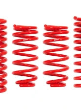 Eibach Sportline Lowering Springs Audi RS3